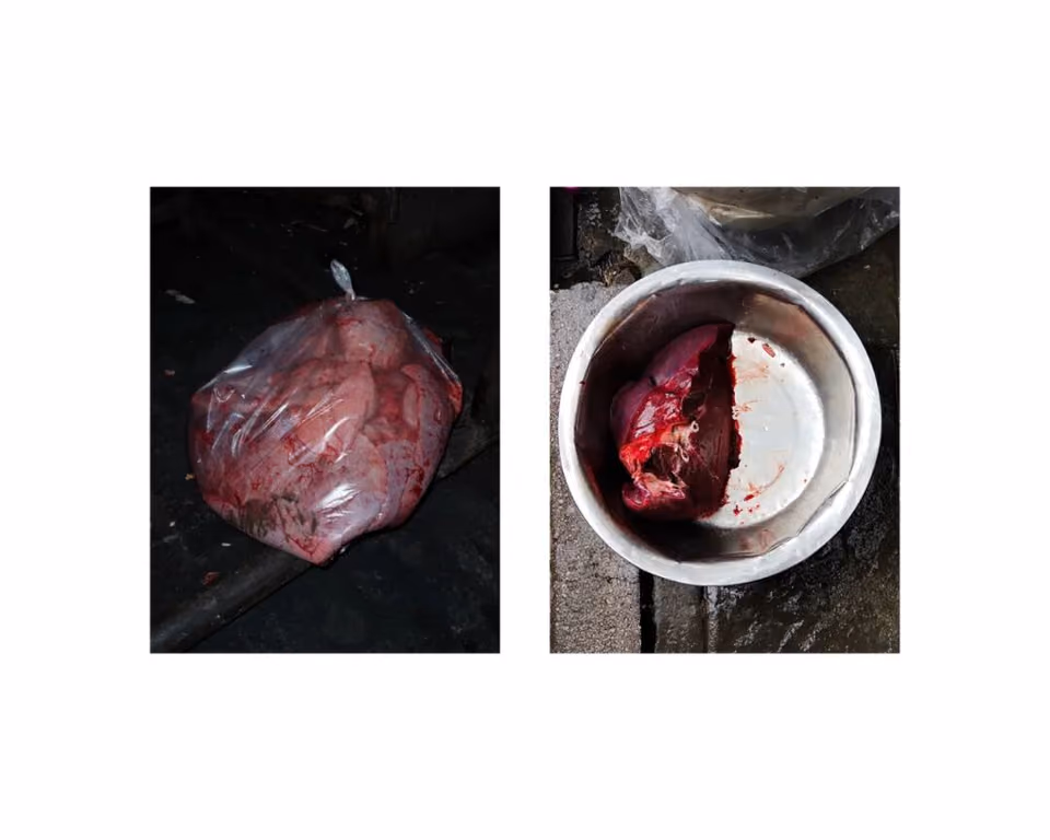 双联图：左为黑地上塑料袋装的粉红色生肉，右为白盆中暗红色肉块