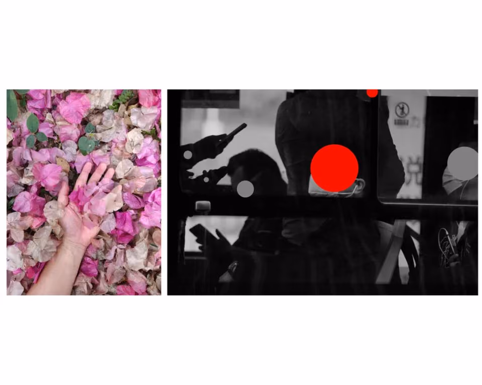 白底并置两图：一只手按在粉白色花丛上，黑白车厢人影叠红灰圆点